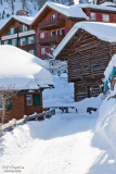 Dorf_11_01_2012-011