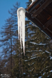 Dorf_11_01_2012-013