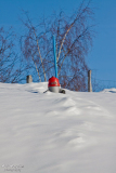 Dorf_11_01_2012-032